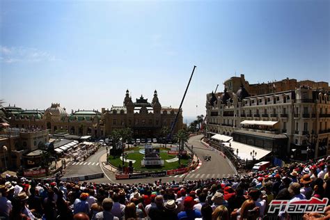 Mirlo Curva De Casino