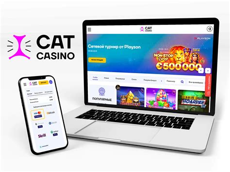 Mr Cat Casino Aplicacao