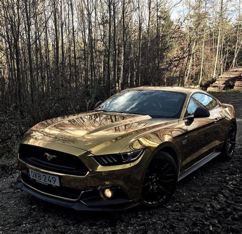 Mustang Gold Bet365