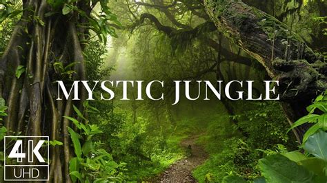 Mystic Jungle Betsson