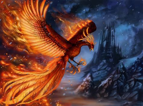 Myth Of Phoenix Brabet