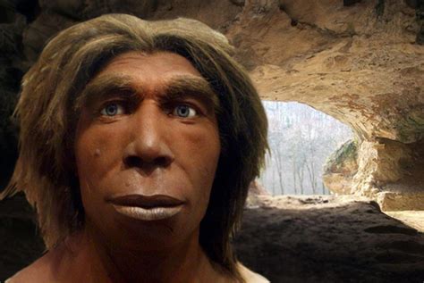Neanderthals Betway