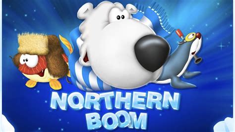Northern Boom Novibet