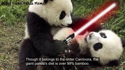 Pandameme Betsson