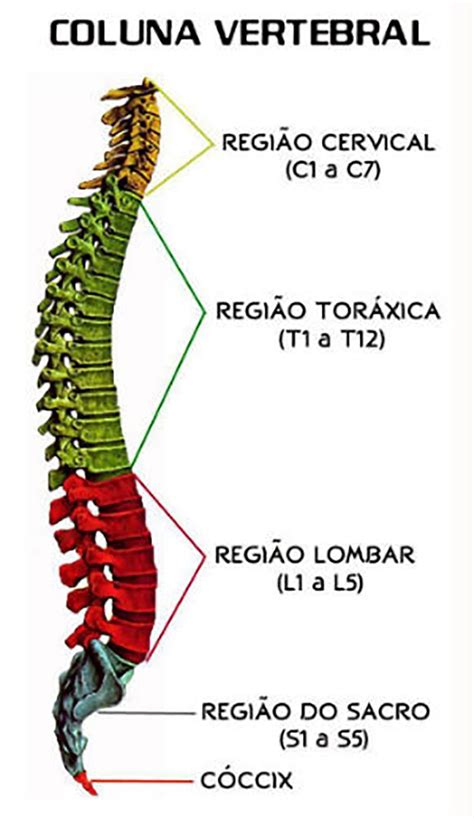 Poker Coluna Vertebral