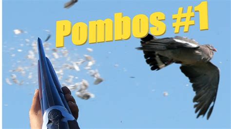 Pombo Jogo Oklahoma