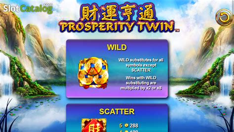 Prosperity Twin Review 2024