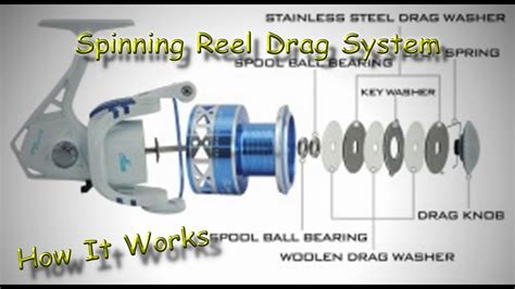 Reel Spiner Brabet