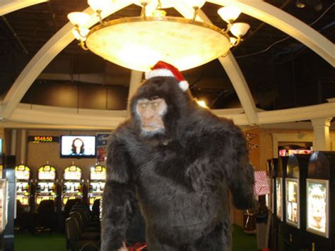 Sasquatch Casino Hamster