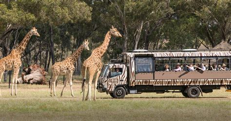 Savanna Safari Brabet