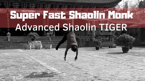 Shaolin Tiger Netbet