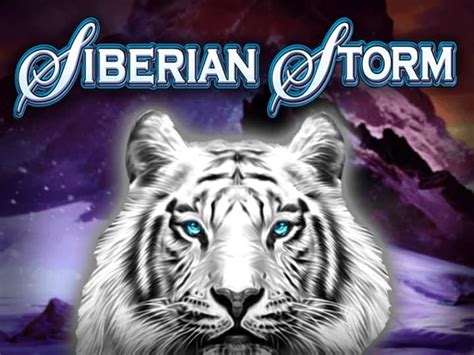 Siberian Storm Review 2024