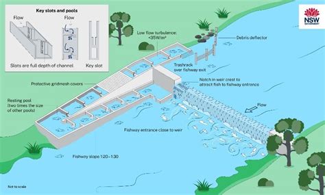 Slot Fishways