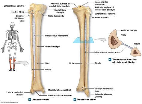 Slot Sistema De Tibia