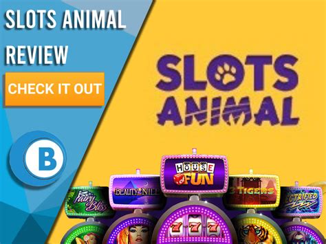 Slots Animal Casino Ecuador