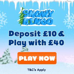 Snowy Bingo Casino Apk
