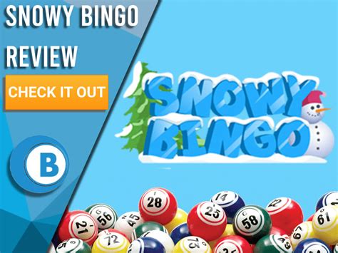 Snowy Bingo Casino Review