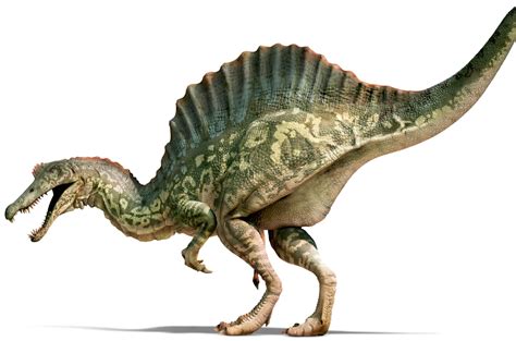 Spinosaurus Betsul