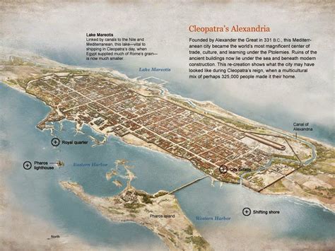 Tale Of Alexandria Bet365