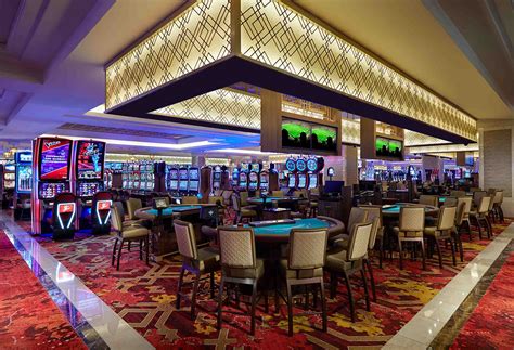 Tampa Bay Casino Cruzeiros