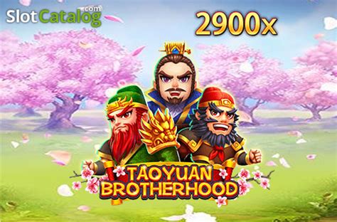 Taqyuan Brotherhood Review 2024