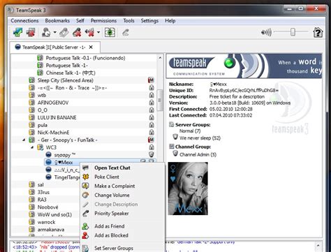 Teamspeak 3 5 Slots Gratis