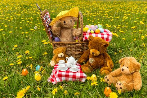 Teddy Bears Picnic Blaze