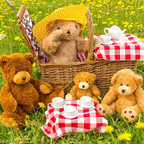 Teddy Bears Picnic Brabet