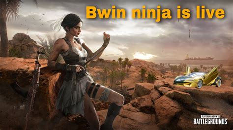 The Ninja Bwin