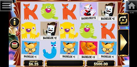 The Purrfect Match Slot - Play Online
