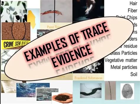 Traces Of Evidence Betfair