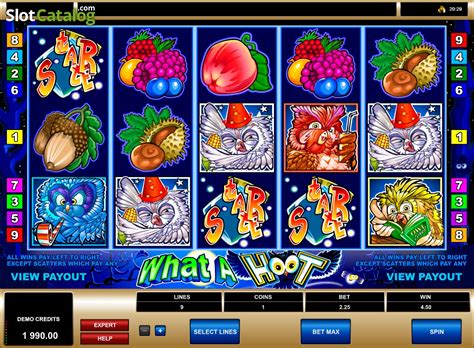 What A Hoot Slot - Play Online