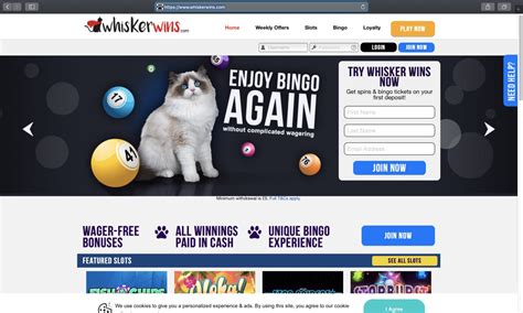 Whisker Wins Casino Colombia