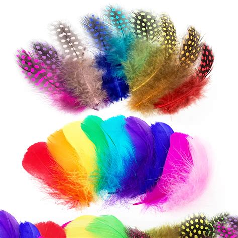 Wild Rainbow Feathers Netbet