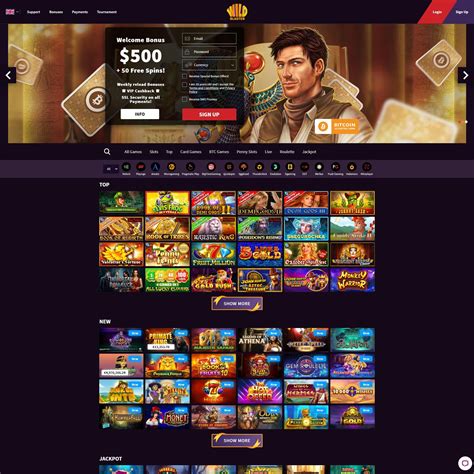 Wildblaster Casino Review