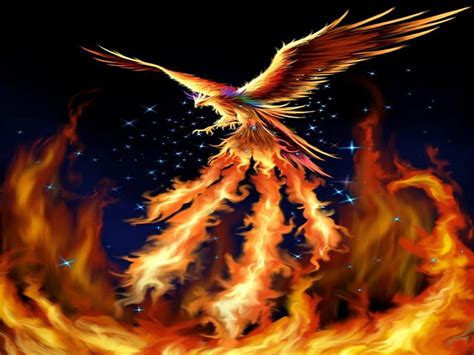 Wings Of The Phoenix Blaze