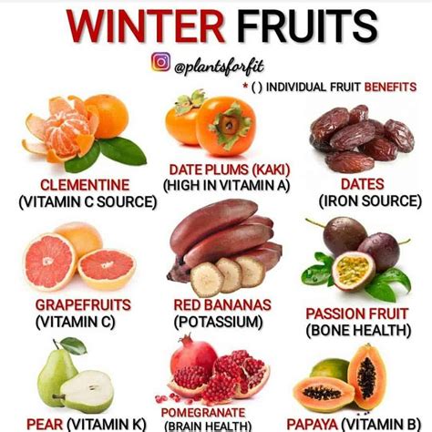 Winter Fruits Review 2024