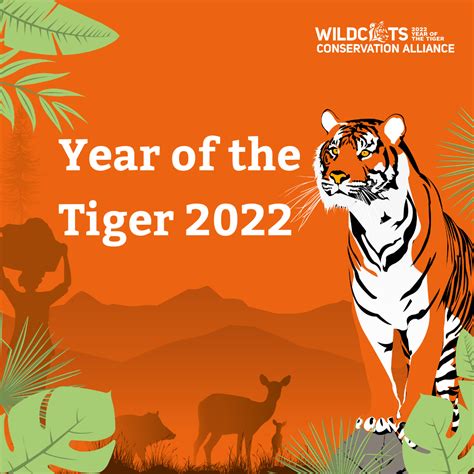 Year Of The Tiger Novibet