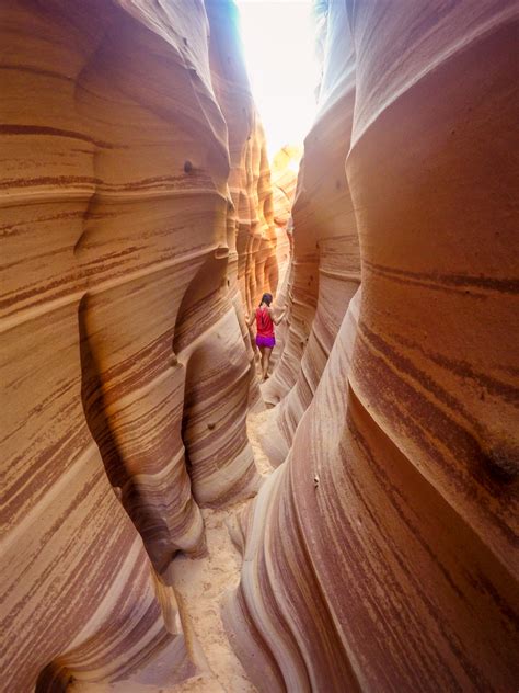 Zebra Slot Canyon Utah Escalante